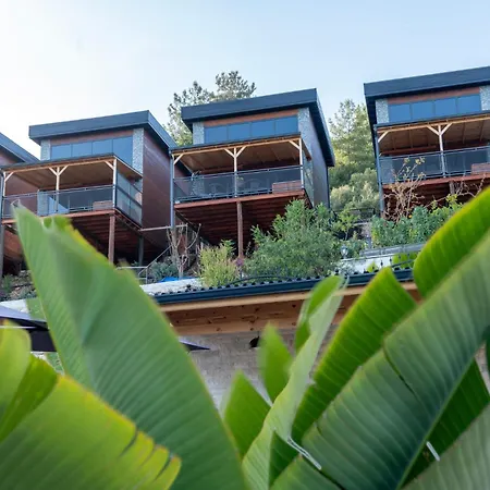 La Veranda 3*