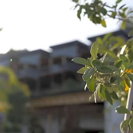 La Veranda Hotel 3*